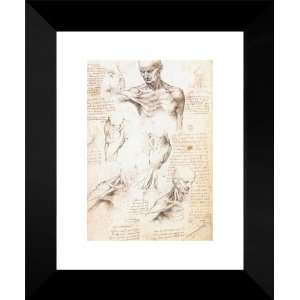  Anatomical studies of a male shoulder 15x18 FRAMED Art 