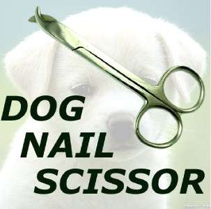 Stainless Steel Pet Dog Nail Scissors/Cutter for Dogs  
