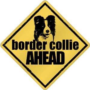  New  Border Collie Bites Ahead   Crossing Dog