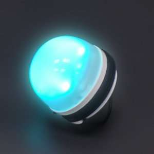  GLI Chill Lite Loon Magnetic Pool Light