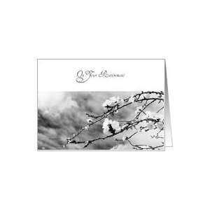  On your retirement, apricot tree flowers cards Card 