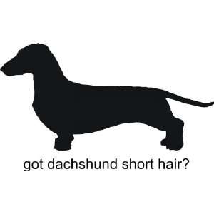  Got dachshund short hair   Removeavle Vinyl Wall Decal 