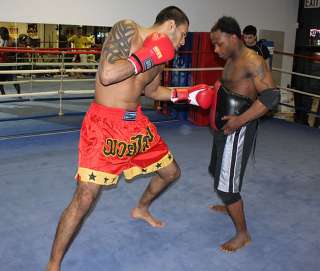 Muay Thai Belly Pad MMA Gear Kickboxing Equipment  