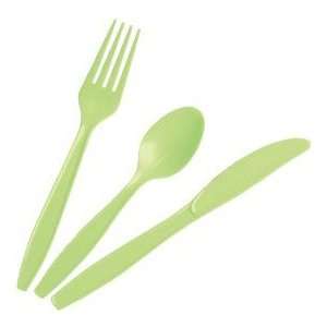  Heavy Duty Plastic Spoons, Pistachio Health & Personal 