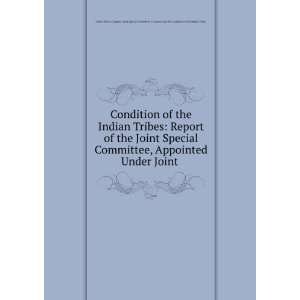  Condition of the Indian Tribes Report of the Joint 