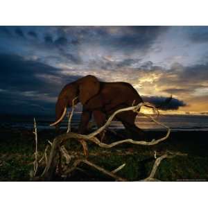  Africana) Walking Along the Beach National Geographic Collection 