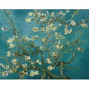  Almond Blossom San Remy    Print