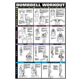 Dumbbell Workout Ii 24 X 36 Laminated Chart (Shoulder, Back, Leg 